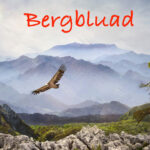 Der neue Song von Kopfeck: BERGBLUAD